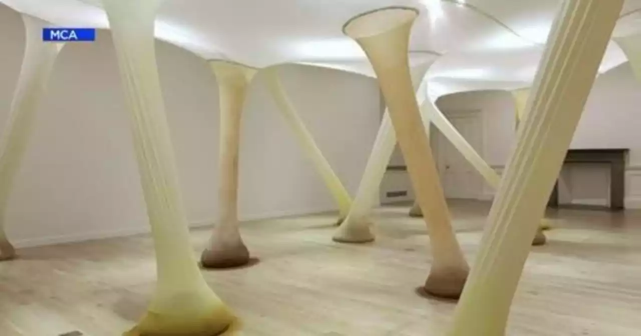 Greek billionaire donates sculptures, multimedia works to Chicago's Museum of Contemporary Art