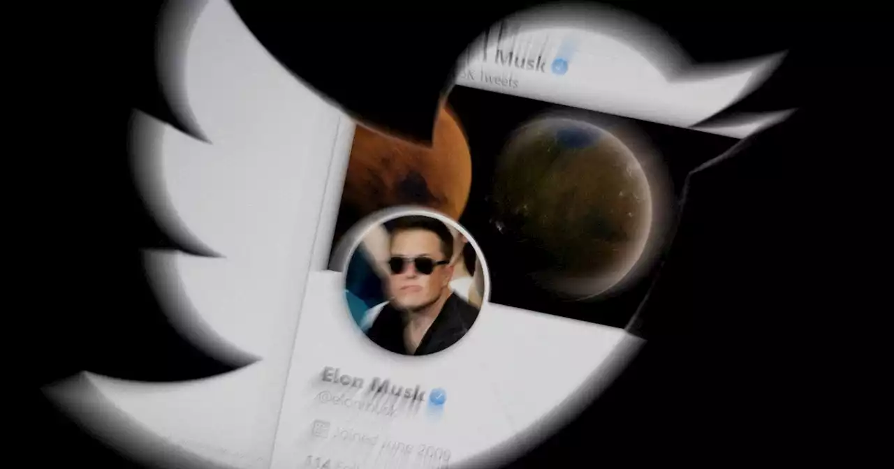 Elon Musk gastó más en Twitter que las reservas en dólares con las que cuenta Argentina