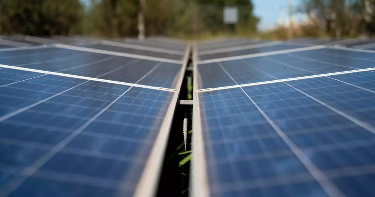 Paneles solares: cuánto cuestan y cómo se pueden financiar para ahorrar en la cuenta de luz