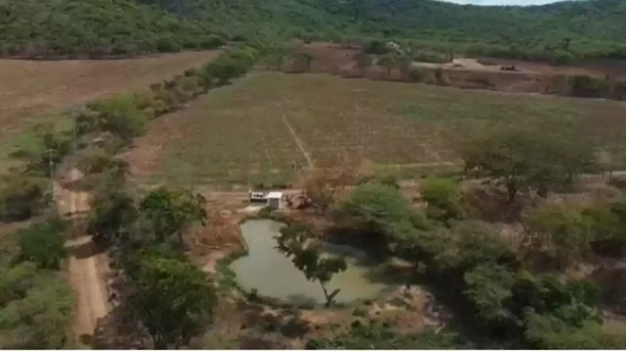 El campo a toda marcha: en Repelón 126 agricultores ya cultivan sus tierras