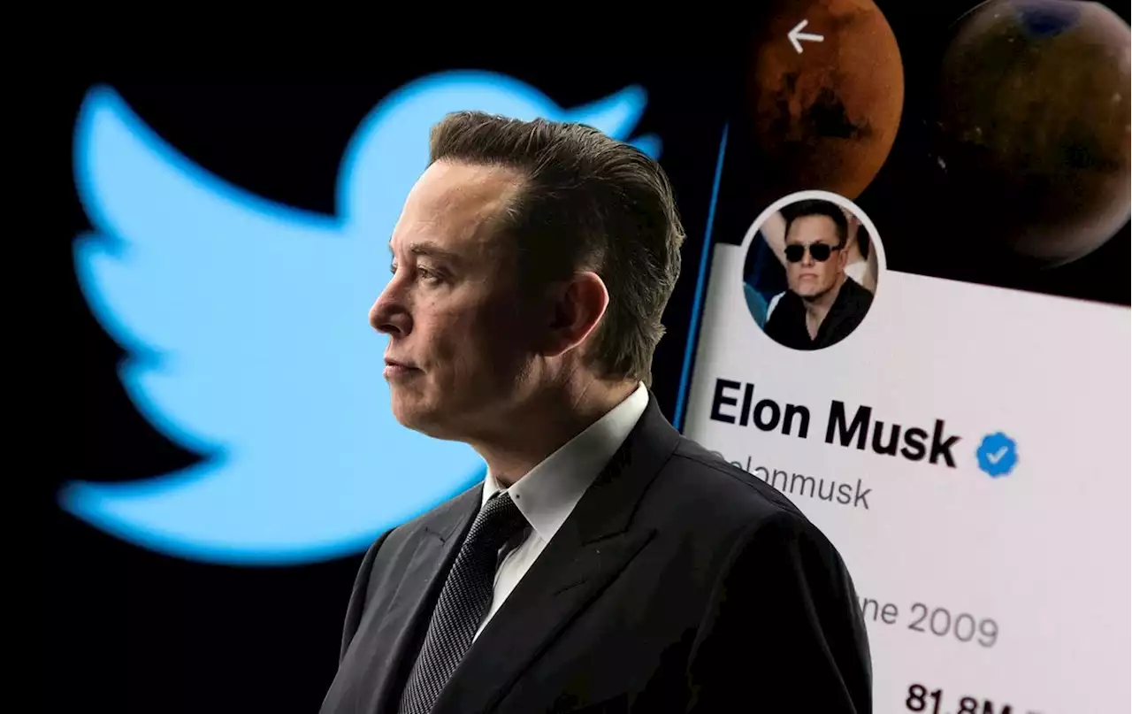 Twitter in dark about future under Elon Musk, says chief executive