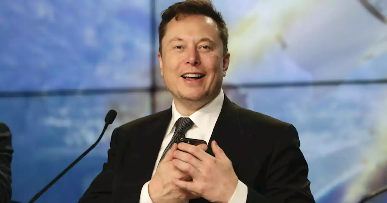 Elon Musk buying Twitter could mean trouble, social media researcher says