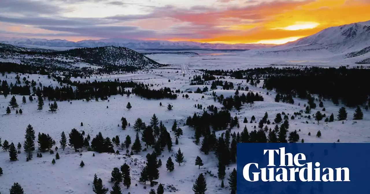 Woman rescued after surviving in a forest for six days on yogurt and snow