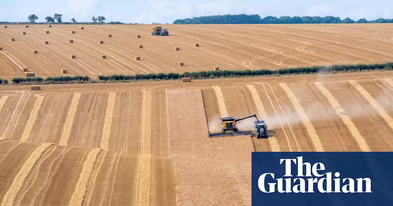 UK could miss net zero target if eco-friendly farming scheme is delayed, warns report