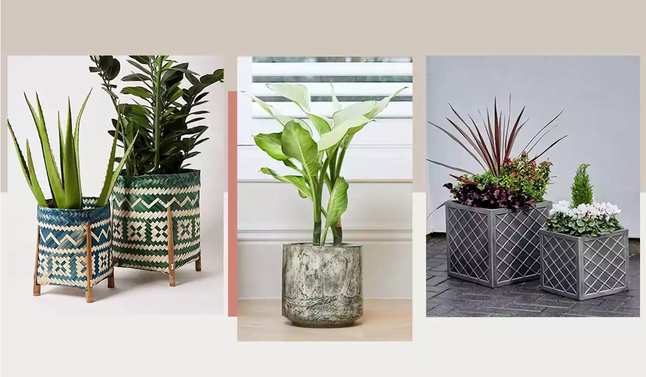 Stylish outdoor plant pots for your garden: From John Lewis to M&S, Dunelm & MORE