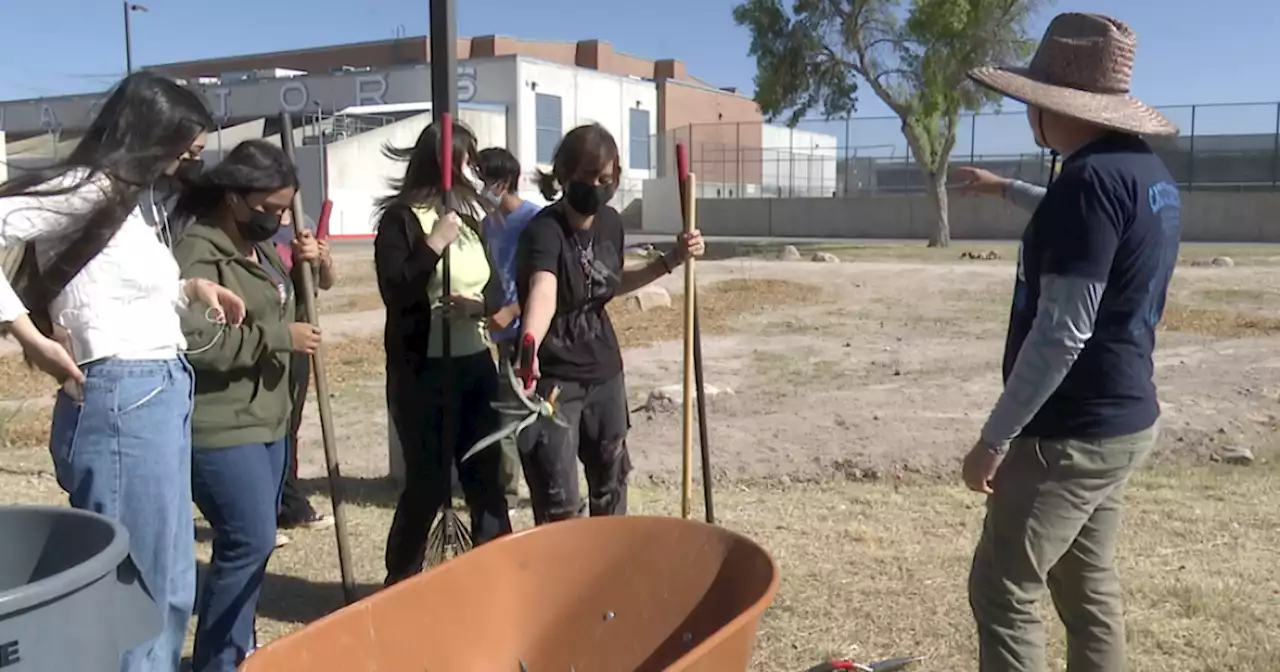 To help conserve water, Pueblo High School students harness rain water