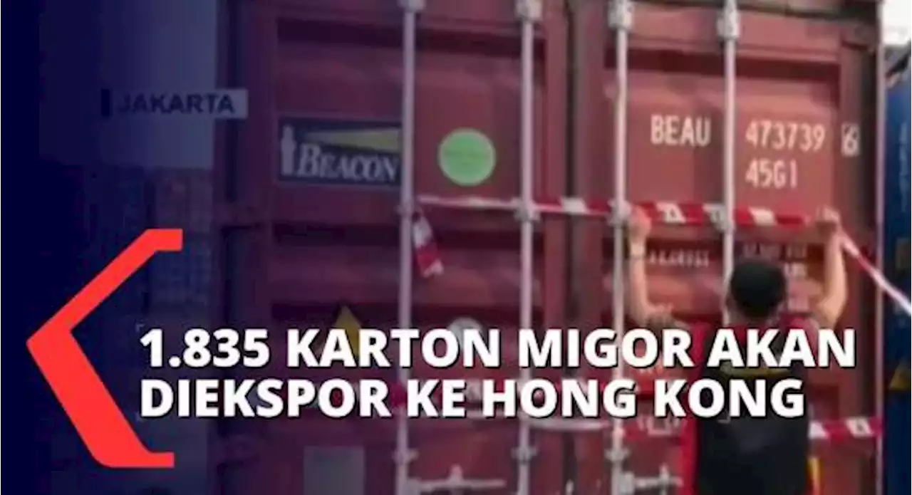 Kejaksaan Tinggi DKI Jakarta Temukan Ribuan Karton Minyak Goreng yang Akan Diekspor ke Hong Kong!