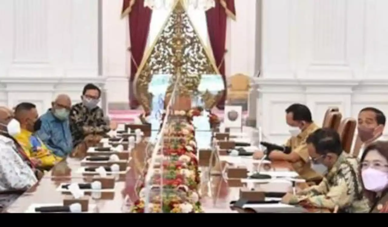 Temui Jokowi, Majelis Rakyat Papua Tolak Pemekaran Papua