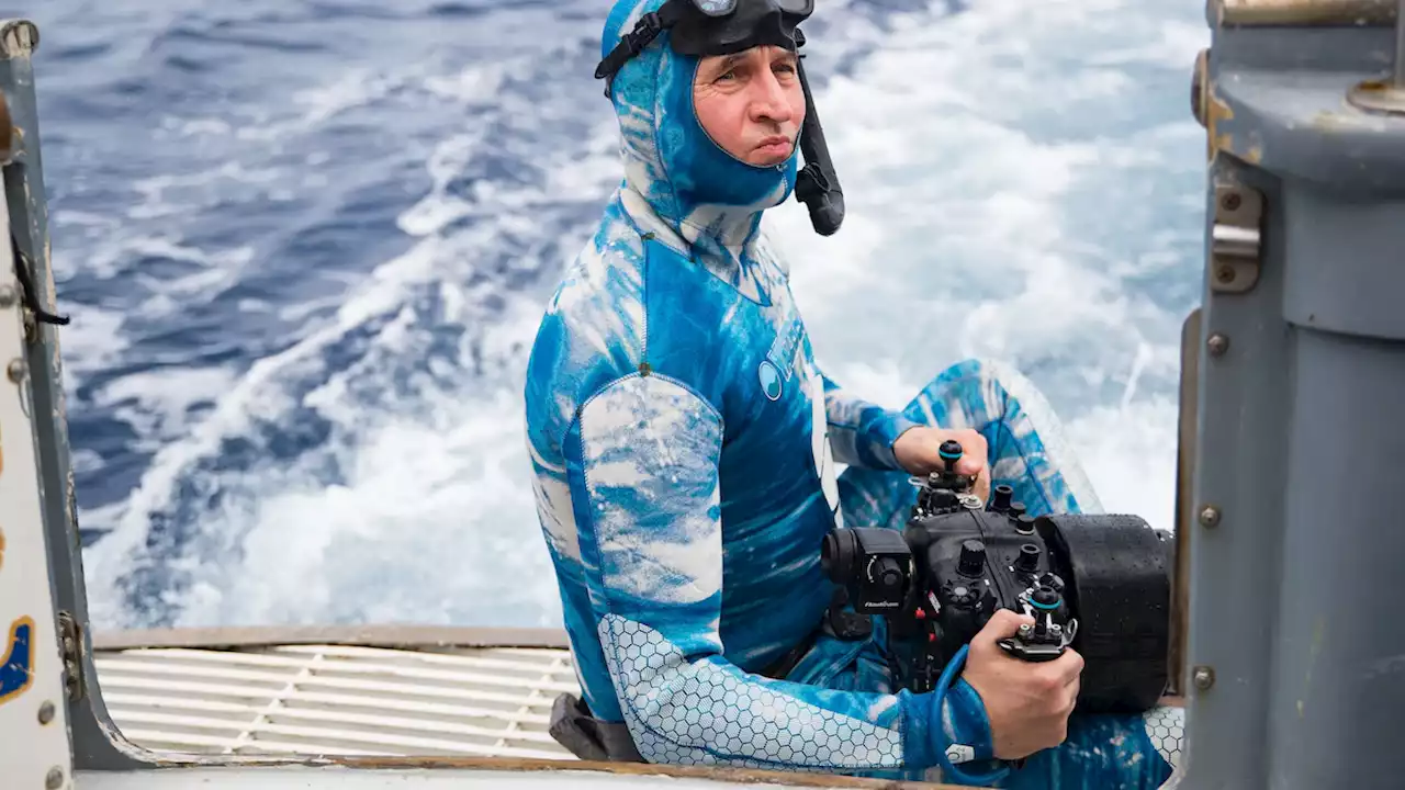 Brian Skerry: Revealing the 'Secrets of the Whales'