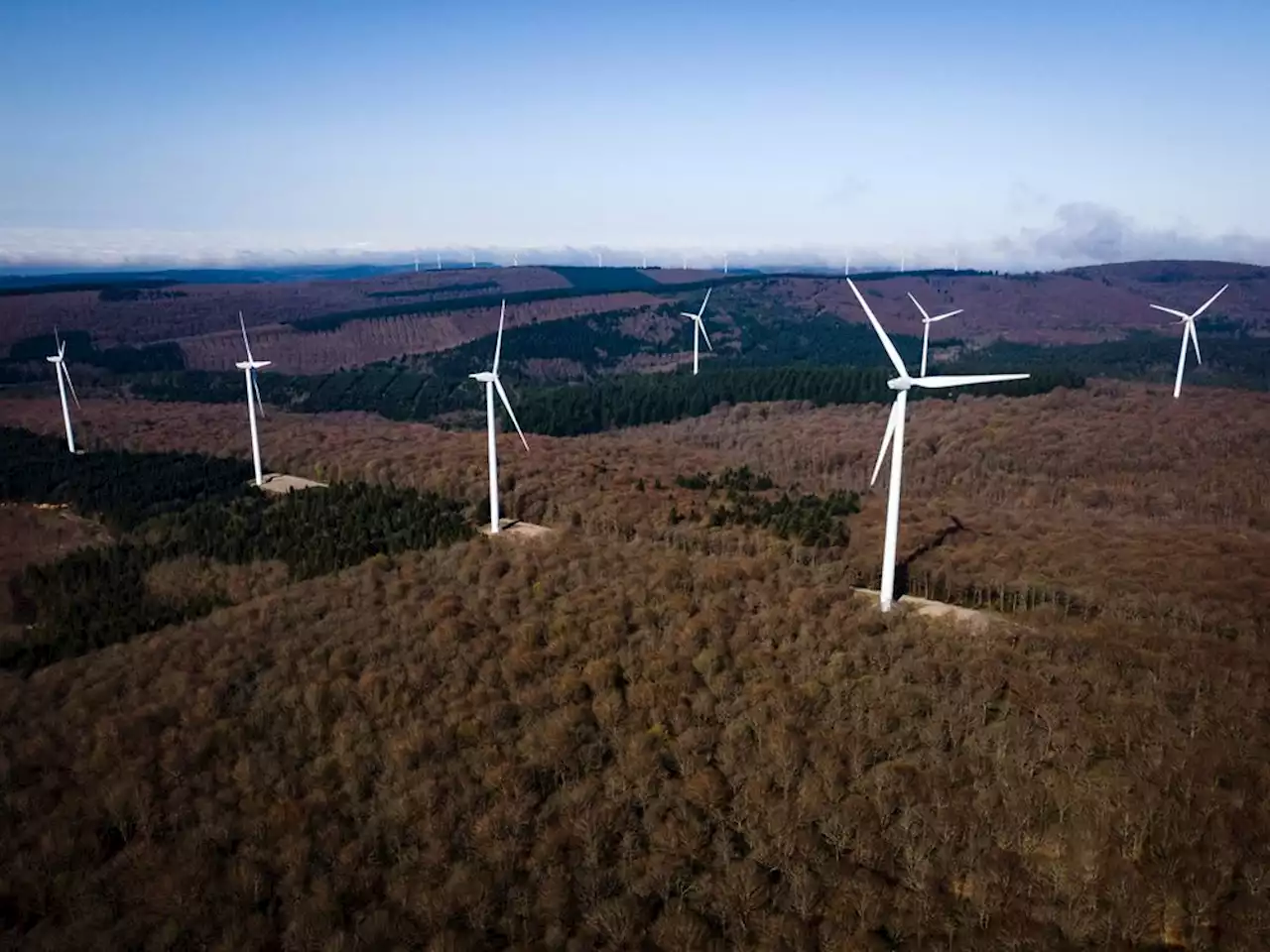 Wind power’s ‘colossal market failure’ threatens climate fight