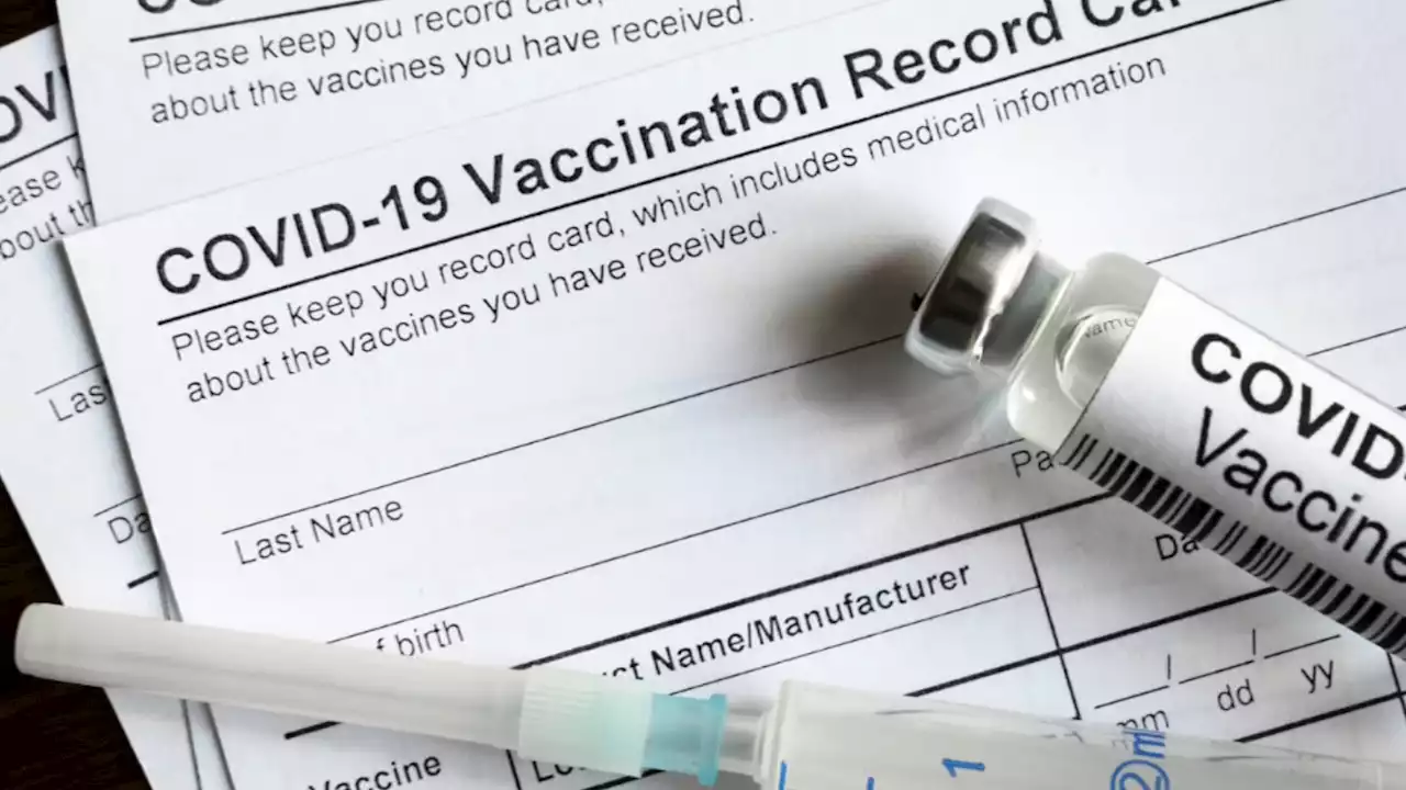 Dozens of NYC Teachers Accused of Faking Vaccination Cards Placed on Leave