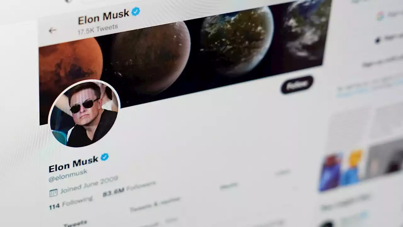 In welche Richtung steuert Musk Twitter?