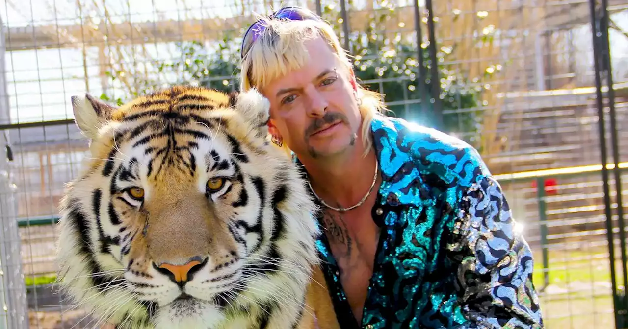 Tiger King's Joe Exotic 'finds love in jail and gets engaged to fellow inmate'