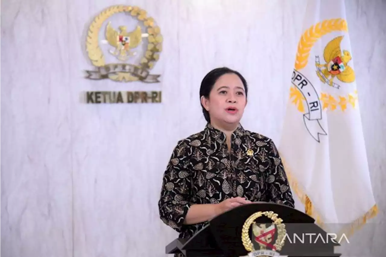 Demi Puan Maharani, Baliho Gede Dipasang hingga Rumah Dicat Warna-Warni