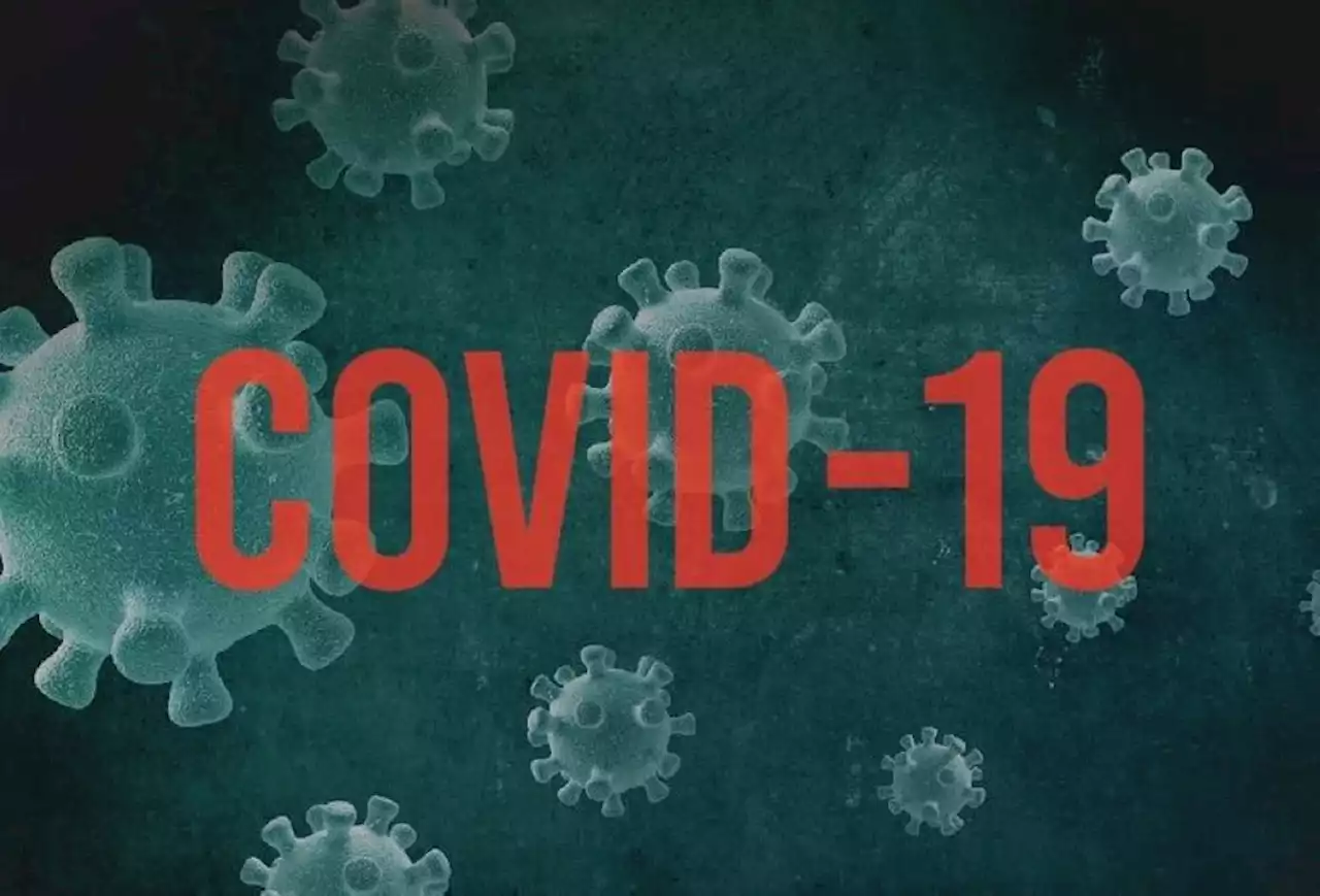 Covid-19: Daily cases drop below 2,500 mark for first time since Jan 17 this year