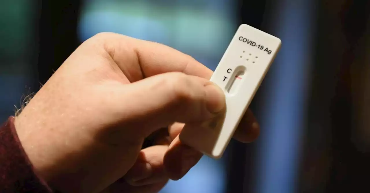 Coronavirus: la chute du nombre de tests met en péril la surveillance du virus