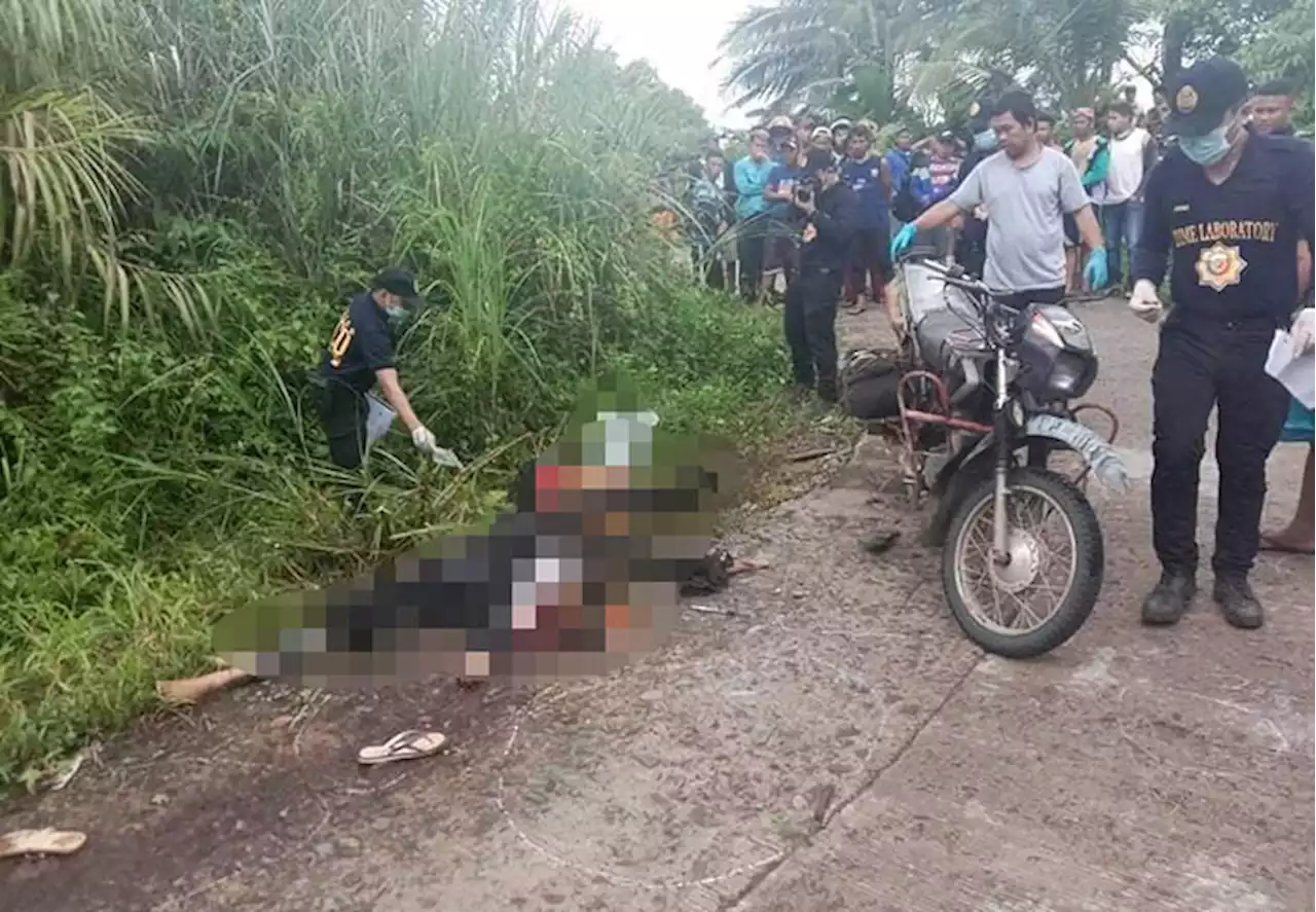 13 gunmen shoot dead village secretary, 2 others in Calbayog