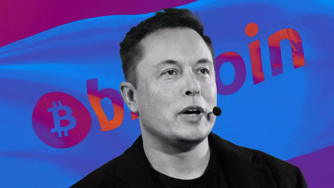 Here's how Elon Musk could change 'Crypto Twitter'