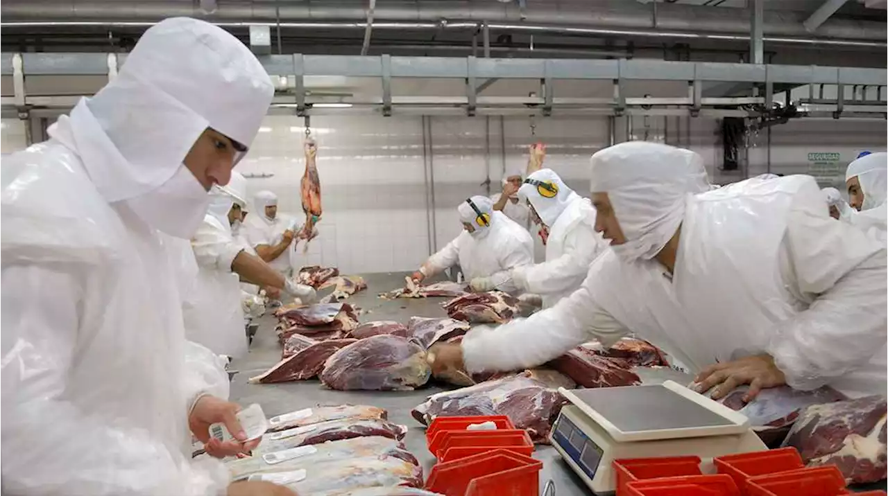 Por el cepo a la carne, las exportaciones cayeron un 7%: qué pasó con la facturación