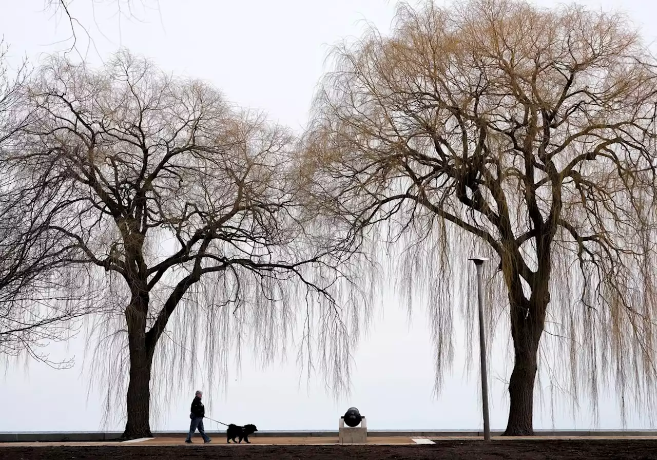 Flurries and frost in the forecast for Toronto this week