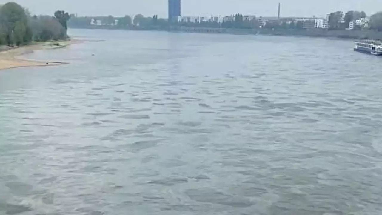 Öl in Rhein bei Köln gelaufen