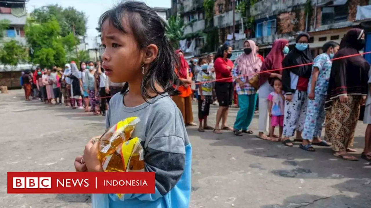 Pemerintah larang ekspor bahan baku minyak goreng: Tak ada jaminan harga turun selama mafianya 'tidak diusut tuntas' - BBC News Indonesia