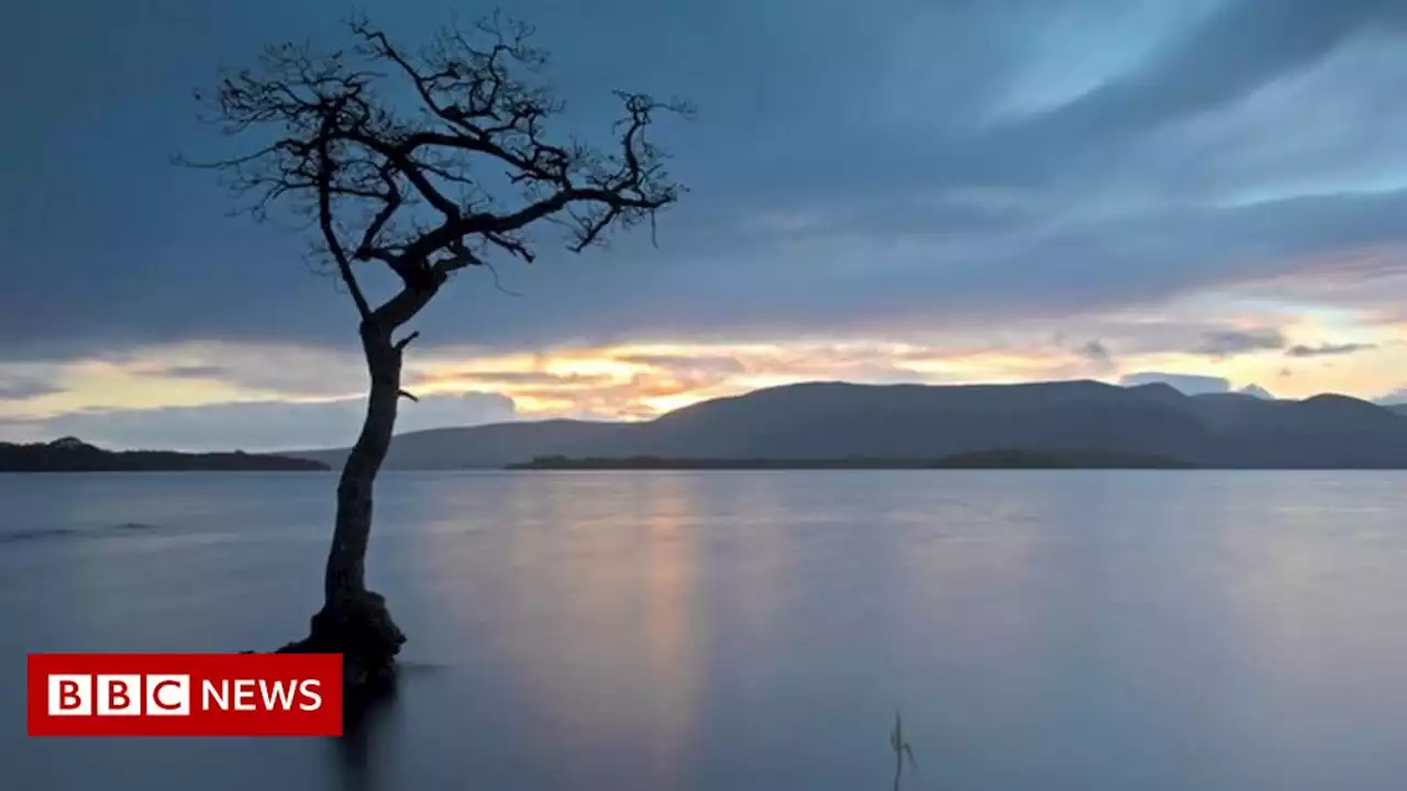 Scotland's lochs and reservoirs are warming rapidly, report says