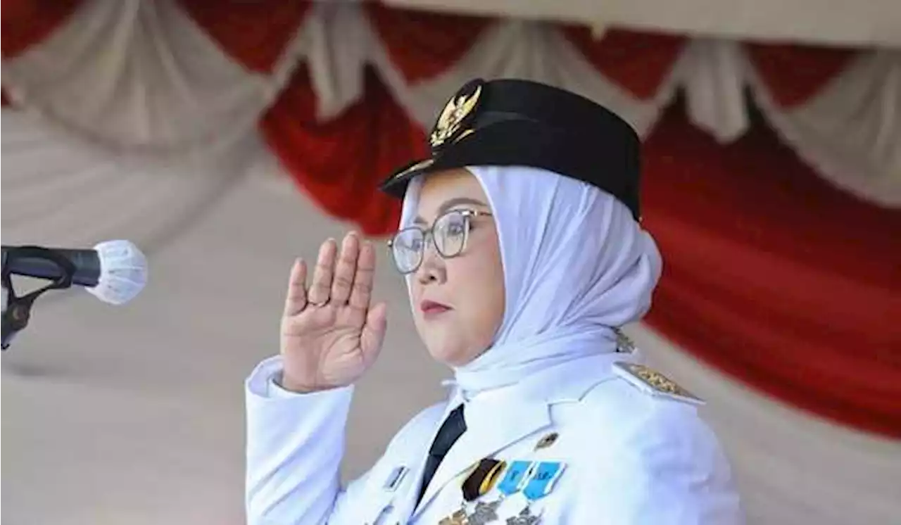 Pengusutan Kasus Ade Yasin, KPK Koordinasi dengan BPK Jabar