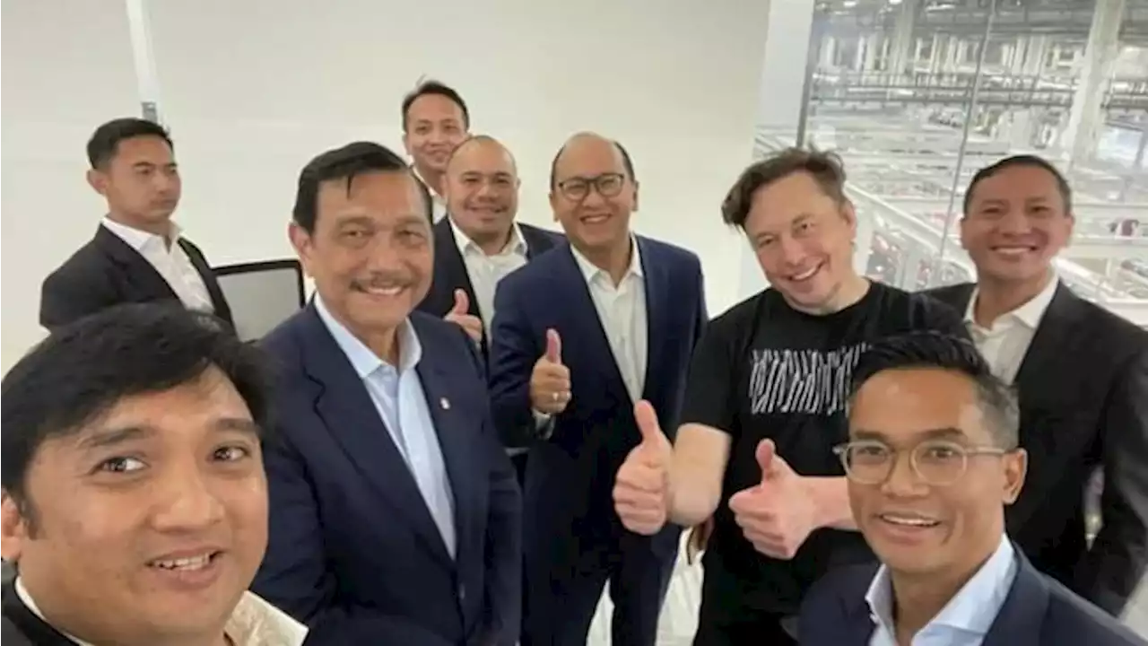 Awalnya Jokowi Telepon Elon Musk, Sempat Bikin Luhut Jengkel!