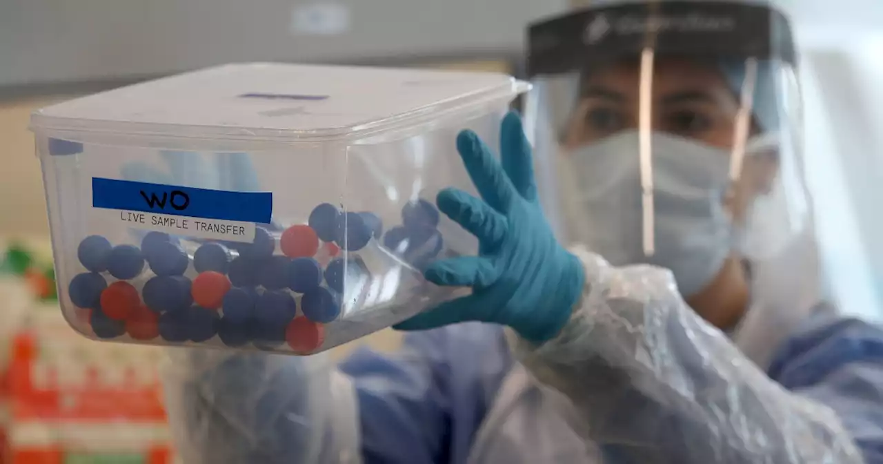 COVID-19 in SA | Wastewater samples predict fifth wave