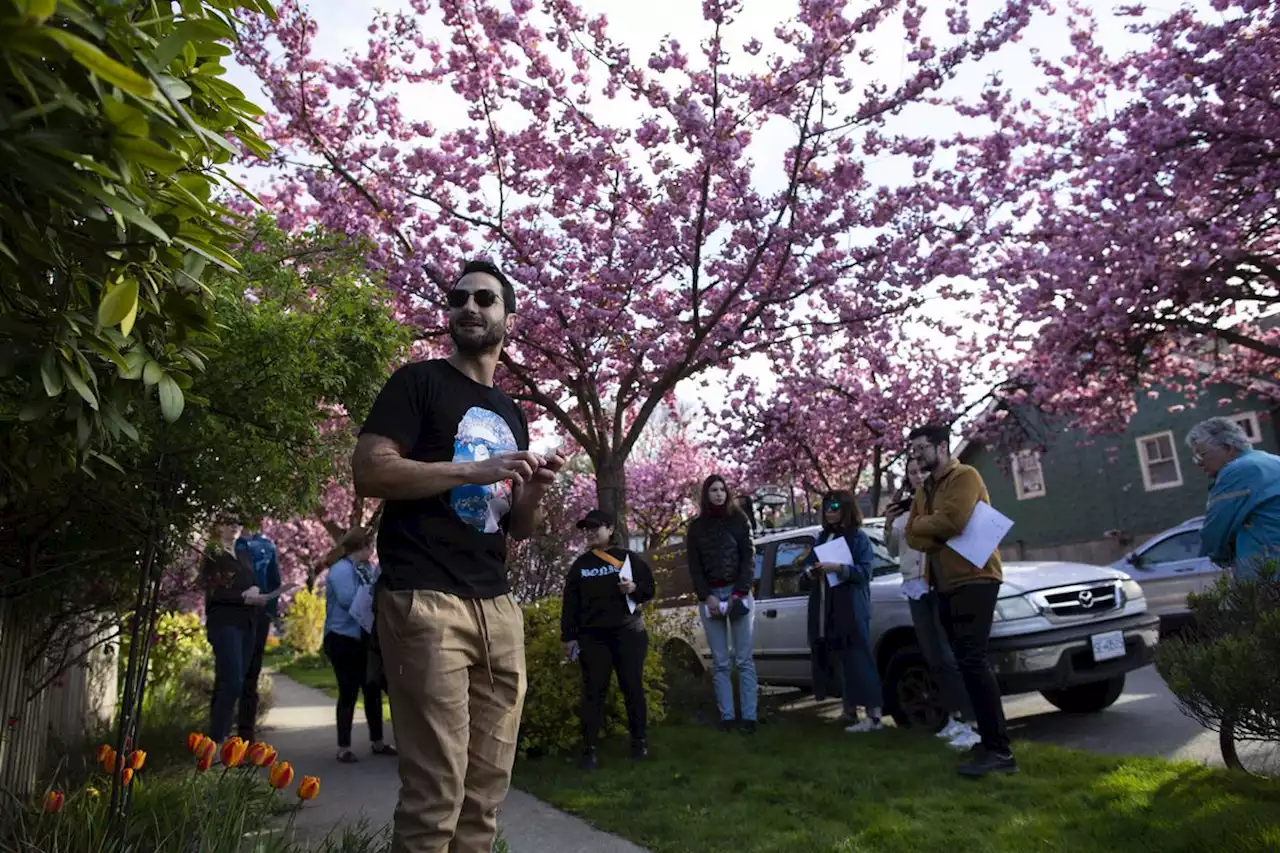 The tiny boulevard gardens of East Vancouver are a lesson in reclaiming urban space