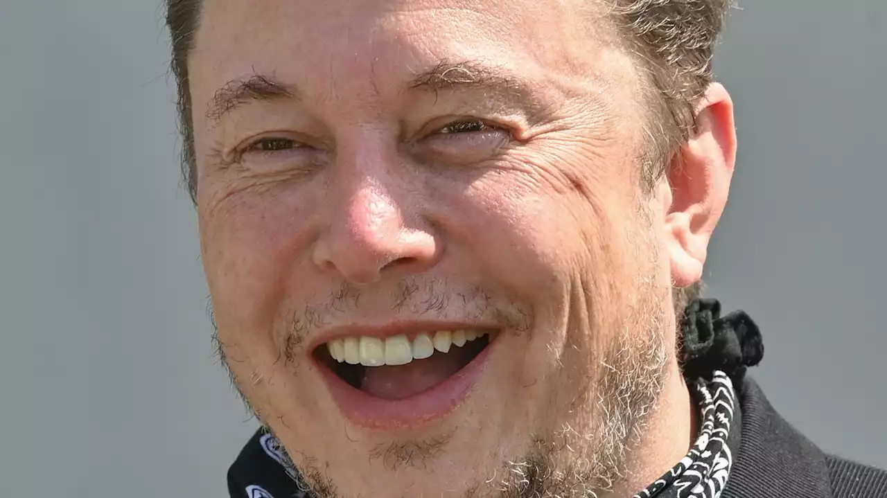 Bad Jokes, Breasts And Faulty Hitler Comparisons: Here's How Elon Musk Used Twitter