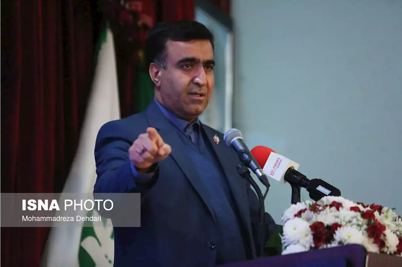 سلاجقه: تفنگ بیهوشی برای پلنگ قائمشهر در ترافیک گیر کرده بود