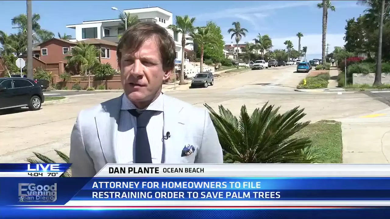 Day 2: Homeowners attorney says 'FAA had nothing to do with' palm tree removal -