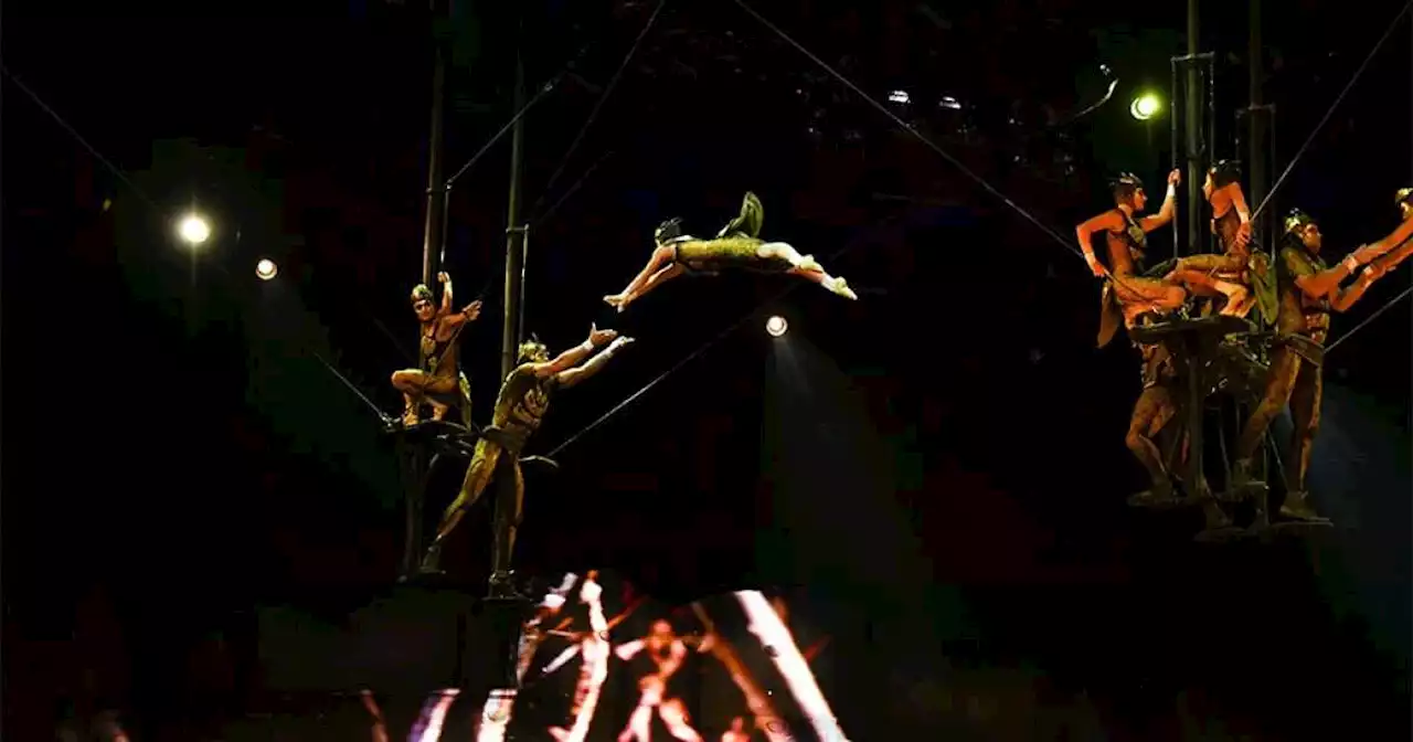 Cirque Du Soleil's LA Comeback (Or, How To Train As A Circus Performer, Even In A Pandemic)