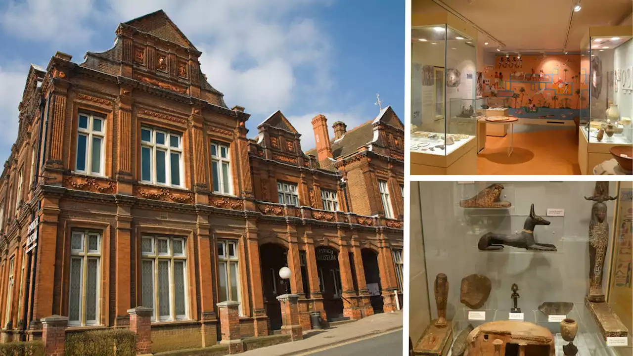 Museum advertise for £35k-a-year 'social justice champion' to 'decolonise artefacts'