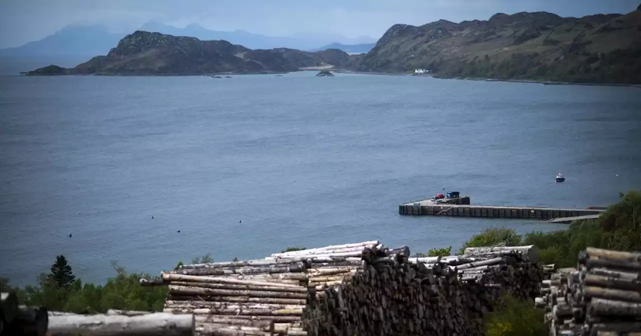 Climate change quickly warming Scottish lochs, says study | Malay Mail