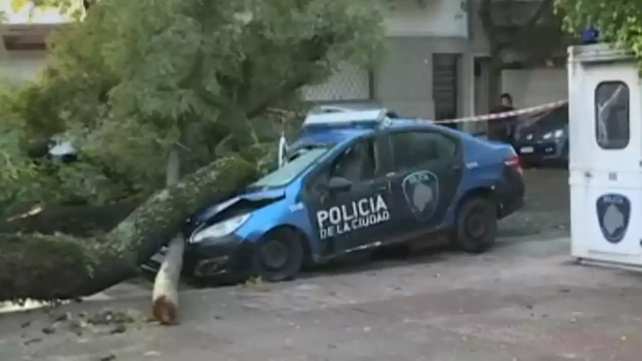 Villa del Parque: así quedó un patrullero al que le cayó encima un árbol en medio del temporal