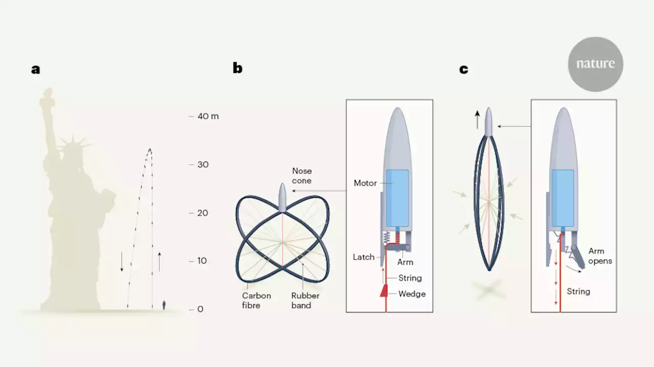 Jumping robot bests biology by enhancing stored energy