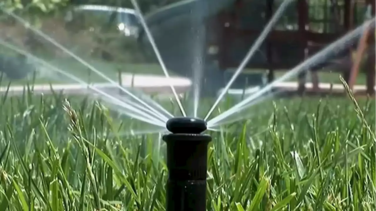 New SoCal Drought Restrictions: Outdoor Watering to Be Restricted to One Day a Week