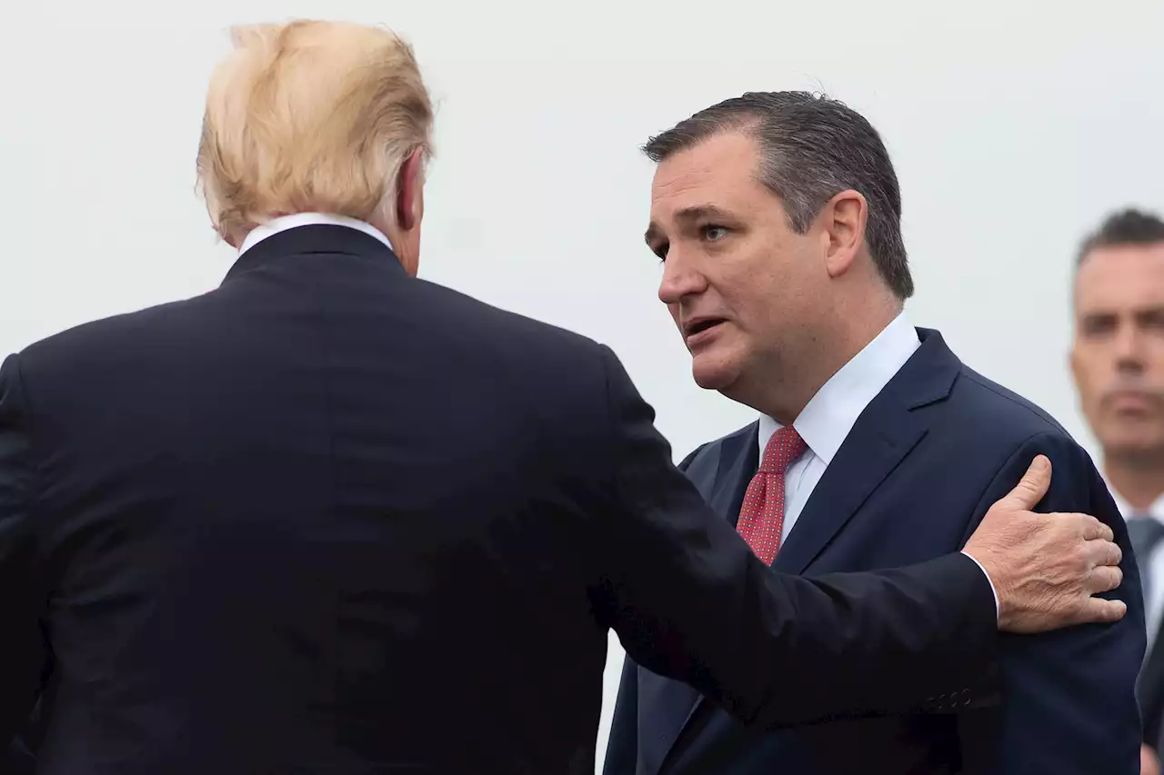 Allies Ted Cruz, Donald Trump endorse different candidates for Ohio Senate