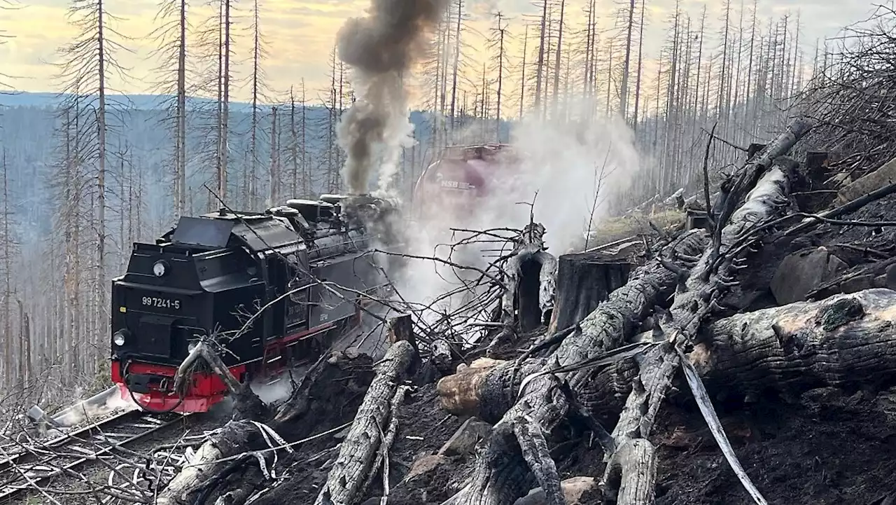 Großfeuer im Harz ist gelöscht