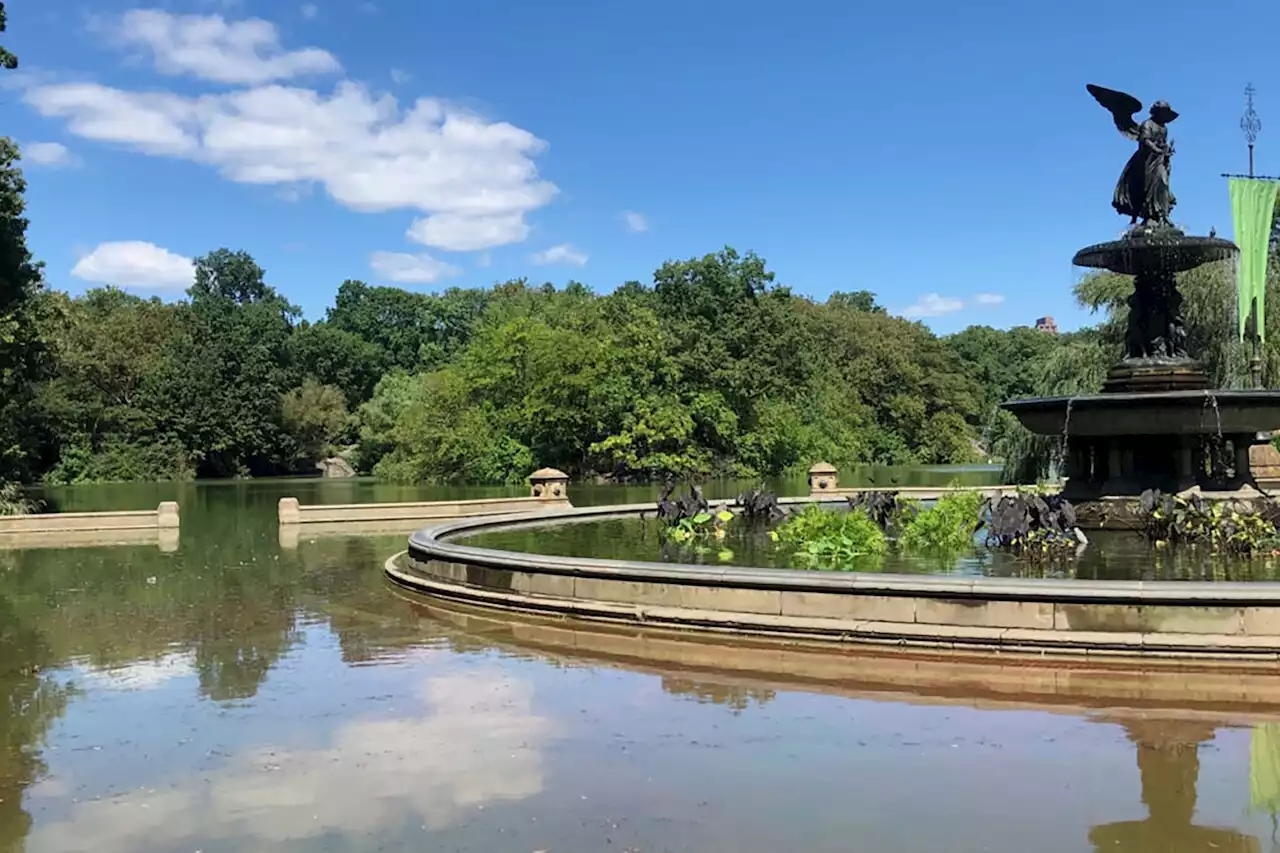 Central Park now doubles as lab to study climate change