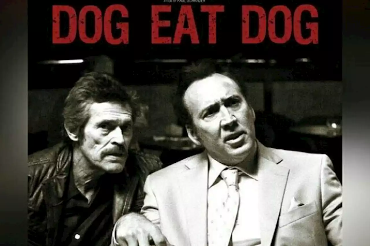 Sinopsis Film Dog Eat Dog: Aksi Seru Penculikan Bayi Mafia Kaya Raya - Pikiran-Rakyat.com