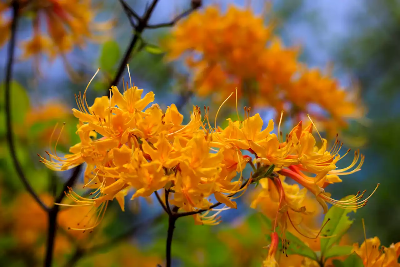 D.C.-area forecast: Bright, breezy and cool through tomorrow