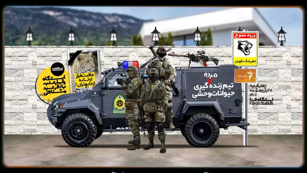 داستان یک پلنگ!