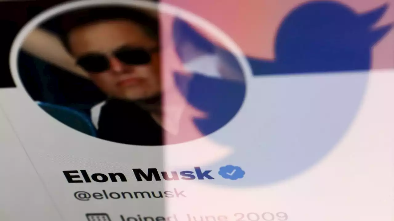 Elon Musk Is Buying Twitter. Is That Bad?