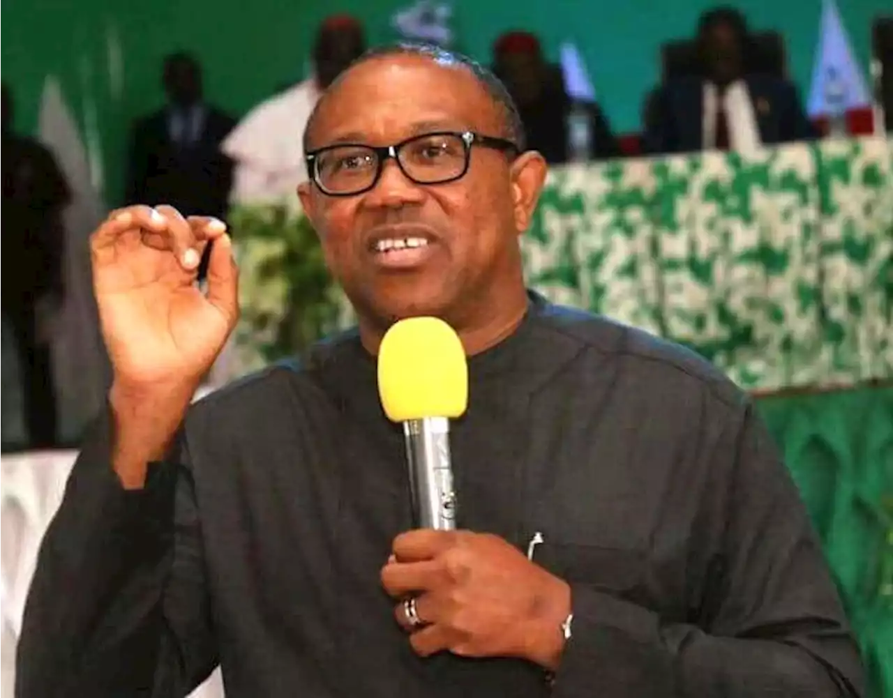EXTRA: Collect money if offered but make informed decision, Peter Obi tells PDP delegates | TheCable