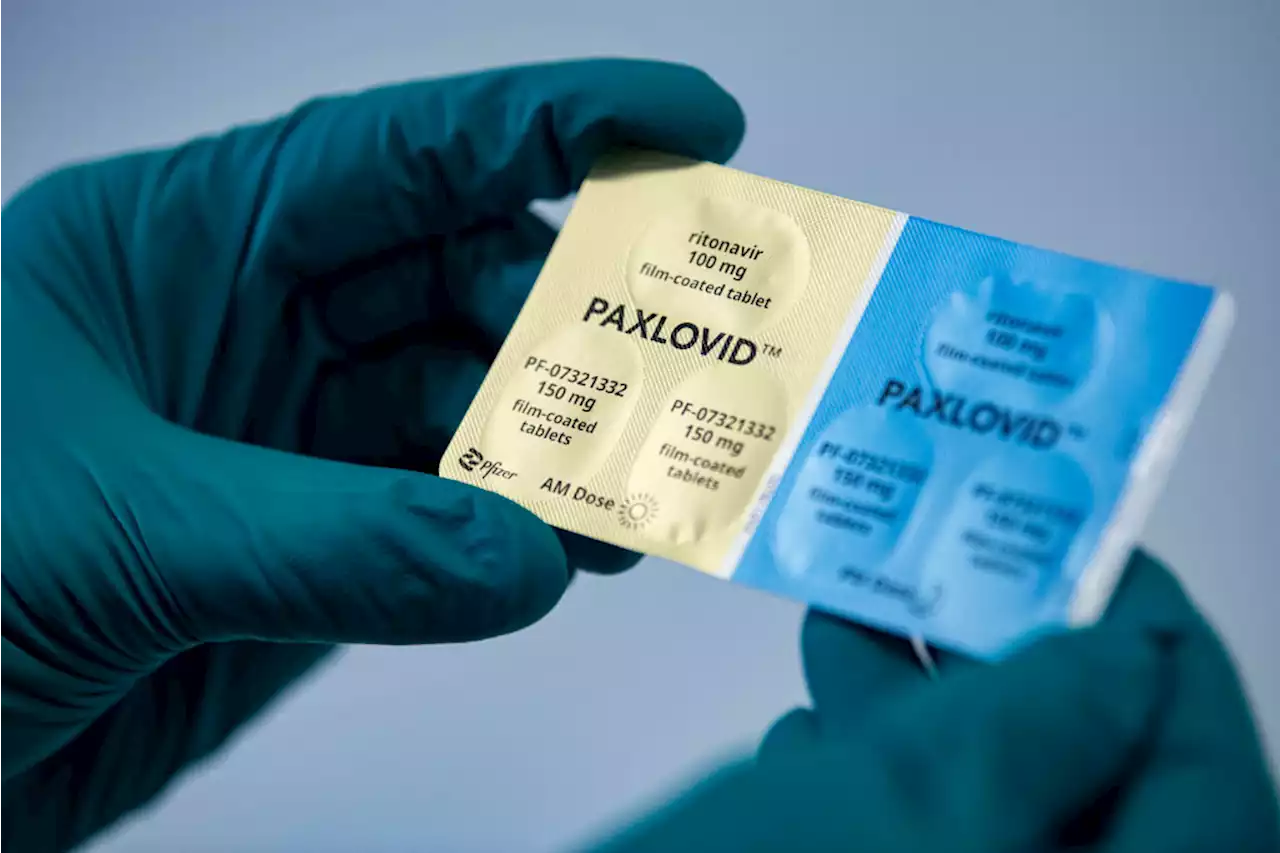 Biden Administration Is Making the COVID-19 Antiviral Pill Paxlovid Easier to Get