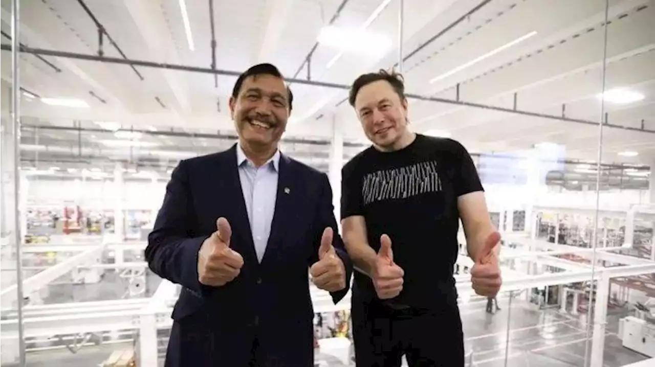 Saat Luhut Binsar Pandjaitan Disebut Perdana Menteri Indonesia Setelah Bertemu Elon Musk - Tribunnews.com